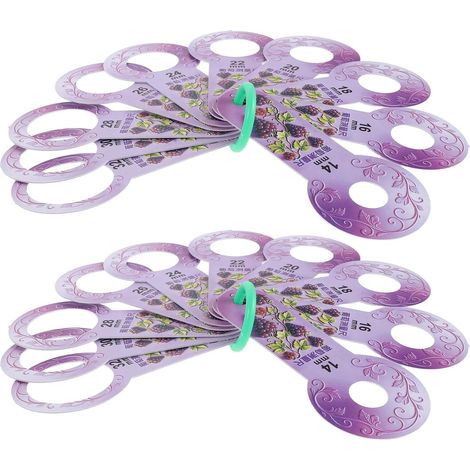 2 Pièces Instrument de Mesure des Raisins en Plastique pour Fruits, Léger et Portable, Tri Après Récolte en Extérieur, Teinte Violet (1/5)
