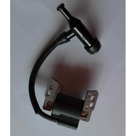 Bobine d'allumage haute tension et allumeur compatible pour 816464 590818. (1/3)