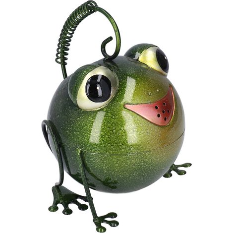 Gießkanne in Froschform aus Metall für kreative Dekoration, originelle Designervase für Zimmerpflanzen (1/5)