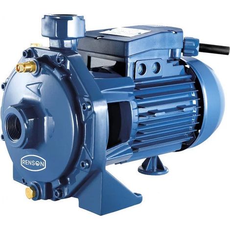 Pompe centrifuges tri fonte 2.2 kW RENSON