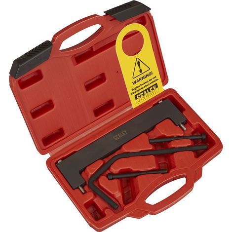 Sealey VSE7980 MG 1.5 Timing Tool Kit - Chain Drive (1/5)
