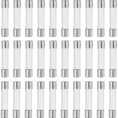 30pcs 1A Fusible en Verre à Soufflage Rapide 250V 6x30mm pour Voiture (1/5)