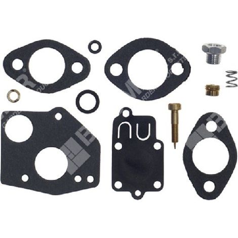 Kit Riparazione per carburatori BRIGGS & STRATTON 494624 COMPATIBILE - 006637