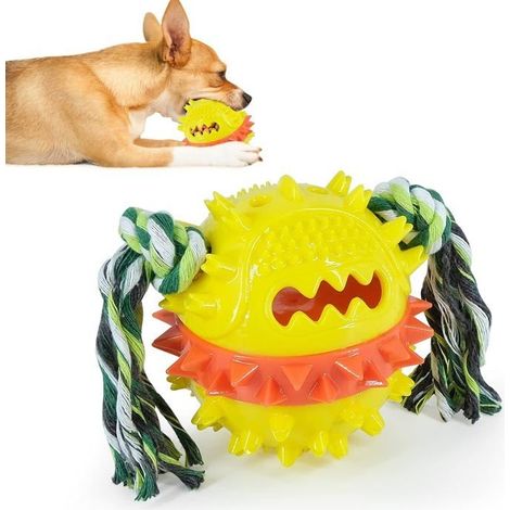 Jouet à mâcher pour chien, jouet multifonctionnel pour animaux de compagnie, jouets de nettoyage des molaires, jouet en caoutchouc (1/5)