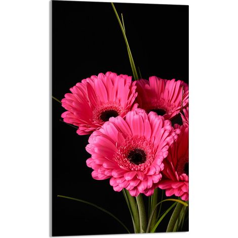 Tabla de cortar de vidrio 30x52 Gerbera (1/5)