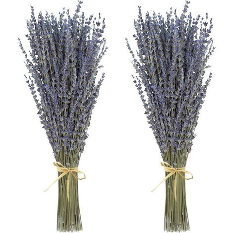 Bouquets de fleurs de lavande séchées (plus de 200 tiges, de 38 à 43 cm de long) pour la décoration intérieure,les loisirs créatifs, les cadeaux