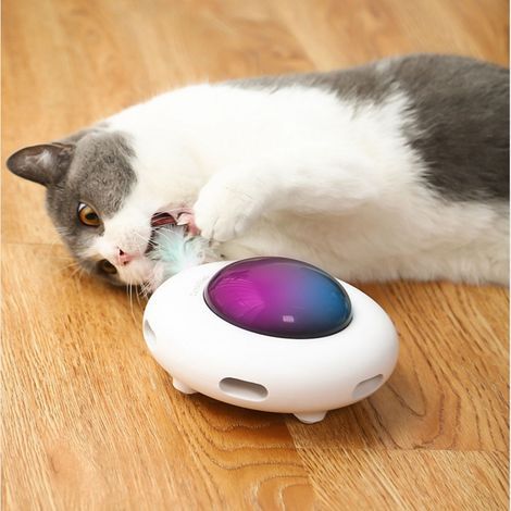 Jouet interactif pour chat pour chats d'intérieur avec plume ro (1/4)