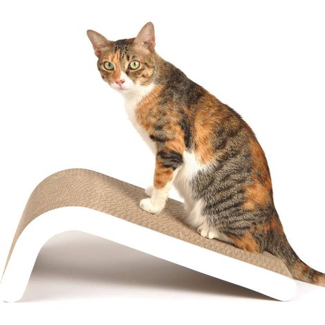 Griffoir Inclinable pour Chat avec Herbe à Chat en Carton, Plusieurs Angles de Griffage (1/5)