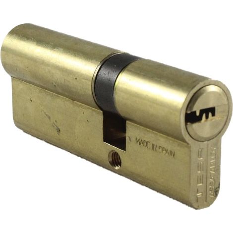 tesa cilindro europerfil seguridad t60-30x50 lt r15 leva larga