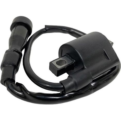 Bobine d'allumage externe 33410-14F00 pour DR125, DR200, GN125, GS125 et EN125 (1/5)