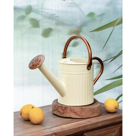 Arrosoir d'intérieur en Acier Inoxydable pour intérieur et extérieur - Long Bec - pour arroser Les Plantes - 1,2 l - Blanc crème (1/5)