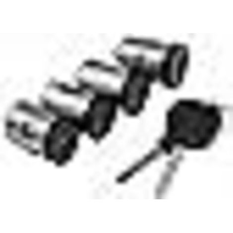 Lot 4 Barillet Serrure de Porte Compatible Peugeot Citroen Fiat avec 2 Clés pour Evasion Jumpy 806 Expert Scudo Ulysse Zeta Références 4162.C9 4162.L0 4162.PA 9926.Q7 9170.AY