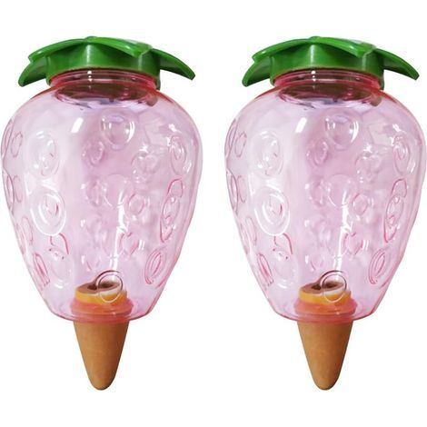 2 Pièces Cone Arrosage Bouteille 500ML, Bille Argile Plante Interieur, Systèmes D'irrigation Automatique pour Planter Pot, Distributeur Eau Plantes Arroser Vacances Transparent Boules (Fraise) (1/5)