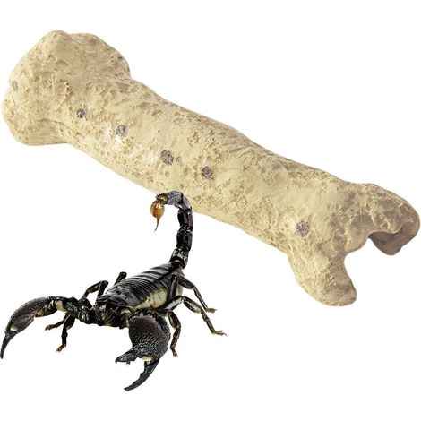 Gecko-Höhle Unterschlupf aus Kunstharz Schildkröten-Lebensraum Panzerrarium Gecko Eidechse Frosch Schildkröte Amphibiengehege (1/5)