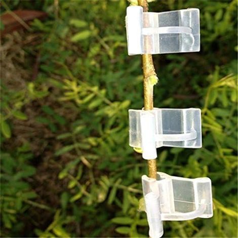 100 pièces greffage Porte-Plante Clips Jardin greffage Clips pour Tomate légumes Fleur Tige connecter (1/5)