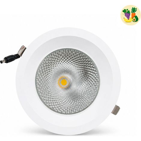 Downlight LED Empotrable - Chip Especial Para Frutas Y (1/5)