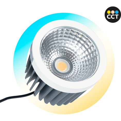 Modulo LED 30W QR111- CCT - Driver esterno - 60° - CRI 90 (1/5)