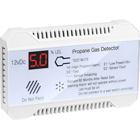 GARRYFIZH Détecteur de Gaz Propane pour Camping-car 12V, Alarme 85dB, Affichage Numérique - Design Mini Compact pour Caravane, Autocar (1/5)