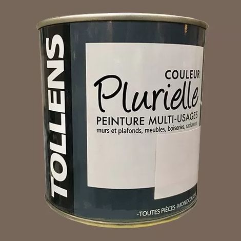 TOLLENS Peinture acrylique multi-usages 'Couleur Plurielle' mat Sauvage 0,5 L (1/2)