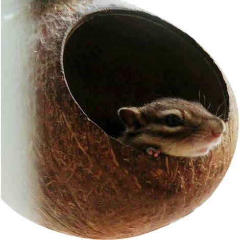 Nid perroquet en coque de noix de coco naturelle, maison cage pour perruches oiseaux hamsters, accessoire jeu