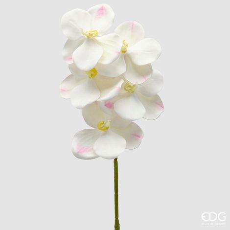 EDG Enzo De Gasperi Orchidea Vanda Ramo H 65 Cm Pianta Artificiale Avorio