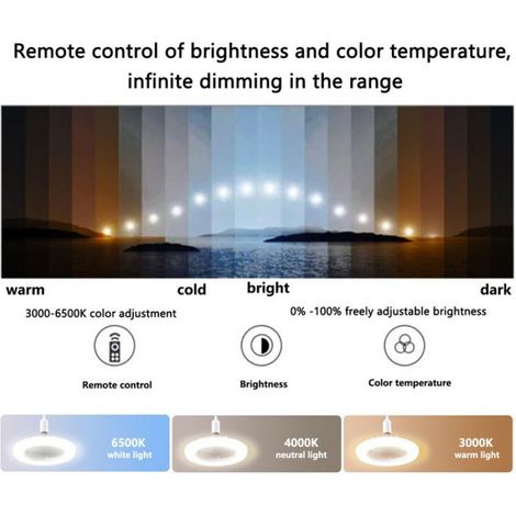 Ventilateur de plafond LED avec lumières, plafonnier 30 W avec ventilateur et télécommande, minuterie, intensité variable 3 (1/5)