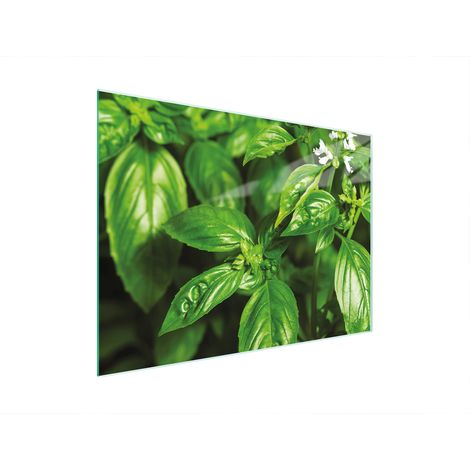 TABLA DE CORTAR DE VIDRIO 30x22 ALBAHACA (1/5)