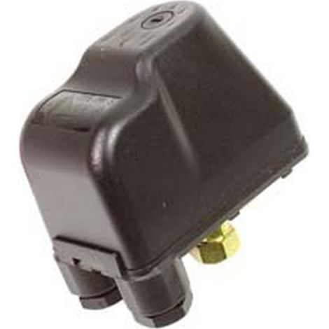 1PZ PRESSOSTATO MONOFASE PER AUTOCLAVE PM5 - connessione girevole F 1/4"