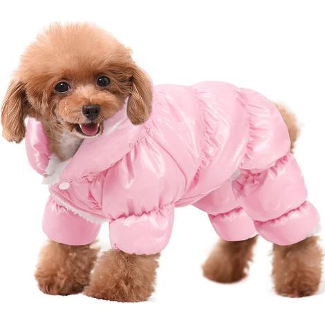 Manteau pour chien, veste chaude pour chien, manteau d'hiver complet, combinaison de neige pour chien, doudoune imperméable pour taille M (1/4)