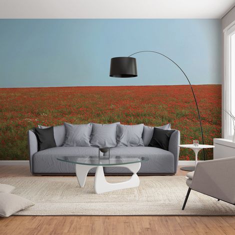 Papier peint intissé 270 cm X 250 cm, décor bohème fleurs séchées authentique, champ de coquelicots avec ciel bleu. (1/3)