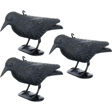 Répulsif anti-pigeons - Corbeau - Répulsif contre les petits oiseaux et les pigeons - portée d’environ 36 cm (1/5)