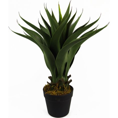 55cm Artificial Yucca Plant (1/5)