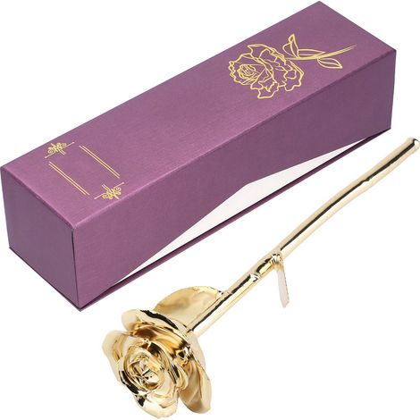 Rose véritable plaquée or 24 carats, rose dorée avec socle, cadeau de Saint-Valentin pour votre petite amie (1/5)