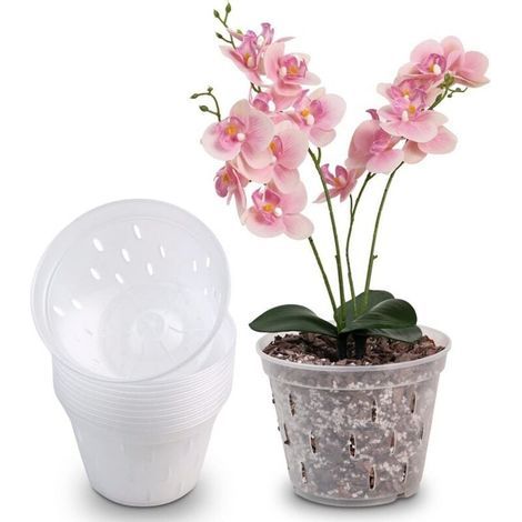Macetas de plástico transparente para orquídeas de 5 pulgadas, paquete de 10 unidades, macetas de cultivo para orquídeas, control de raíces de plantas, macetas de malla con agujeros y bandejas (1/3)