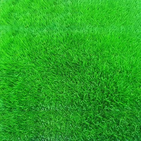 Graines de Fétuque pour Pelouse – 15-20 m² – Semences de Gazon Pur – Jardin Pelouse