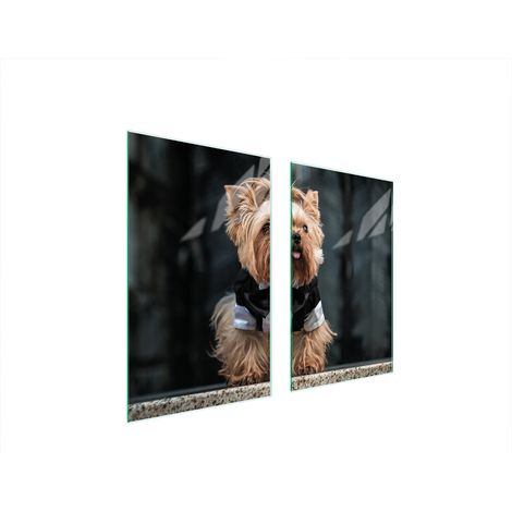 PLAQUE DE PROTECTION EN VERRE POUR POÊLE 75x52 DOG (1/5)