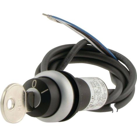 Interruttore Eaton C22-WRS-MS1-K10-P62 plastica IP66 4 A (1/4)