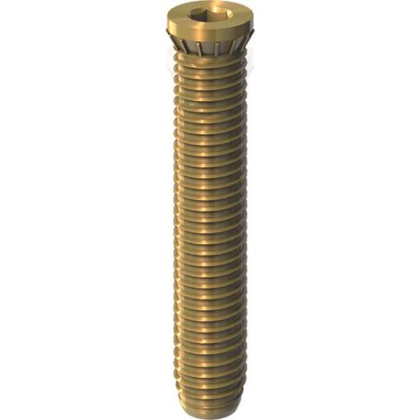 DR. HAHN Anker-Schraube M12x58 mm, einzeln
