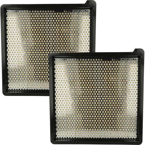 vhbw 2x Flat-Fold Filter Replacement for Kärcher 5.731-635.0 for Carpet Sweeper, Floor Scrubber - Air Filter, Spare Filter