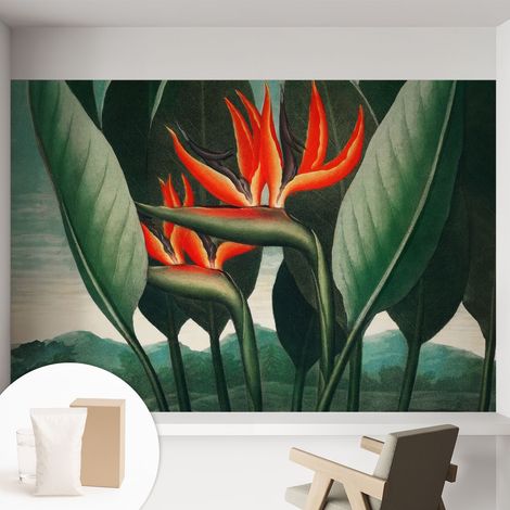Fototapete Tapete Vliestapete mit Kleber - trendige Wanddeko - Schlafzimmer - Wohnzimmer Exotische Blumen 152x104 cm (1/5)
