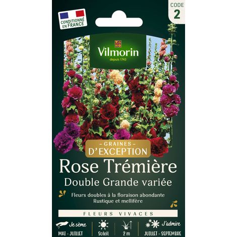 Vilmorin – Rose trémière double grande variée – Fleurs géantes colorées – Période de semis : printemps – Exposition : soleil (1/4)
