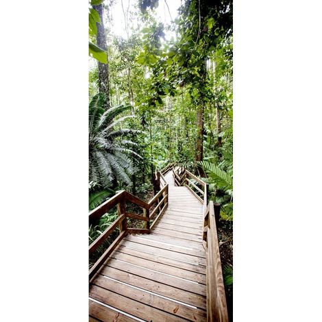 Tableau sur verre synthétique pont dans la jungle 65x145 cm - Impression sur Verre synthétique - Image HD  imprimée sur Verre synthétique - Tableau mural décoratif - Fabriqué en France (1/4)