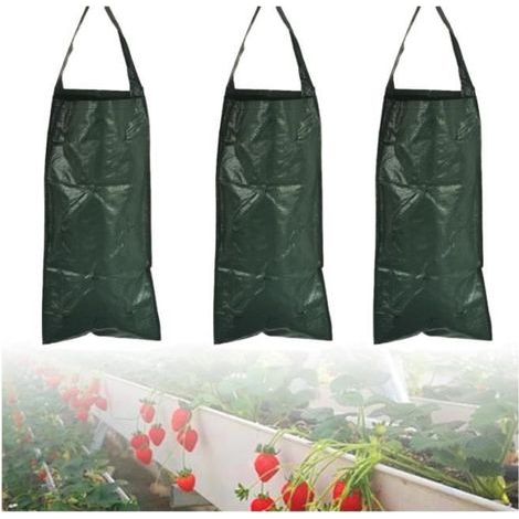 Planting Bag - Unspecified - 3 Pieces - 10 Holes - 58 x 25.5 cm - Green (1/4)