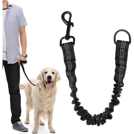 Laisse Chien Amortisseur Élastique 30 70cm Laisse Courte Nylon avec Fil Réfléchissant Anti Chocs pour Chiens Moyens/Grands, Vélo Et Randonnée (1/5)
