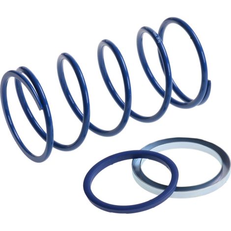 Polini Evo Slider centrale/molla pressione +40%, 28kg, d.3,8mm, Minarelli