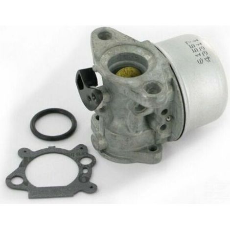 Carburateur adaptable pour remplace 799868 (1/4)