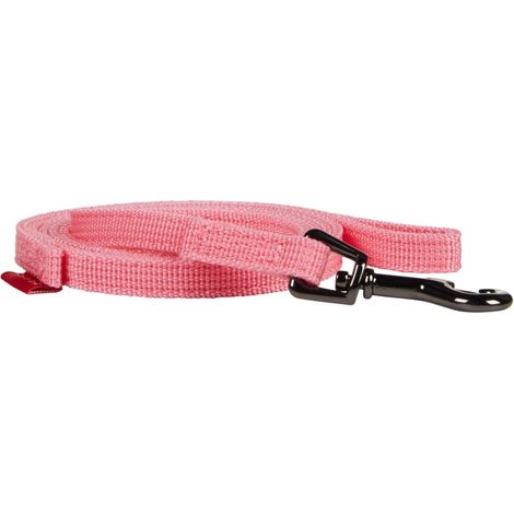 Laisse pour Chien Rose Taille S 116 cm 10 mm