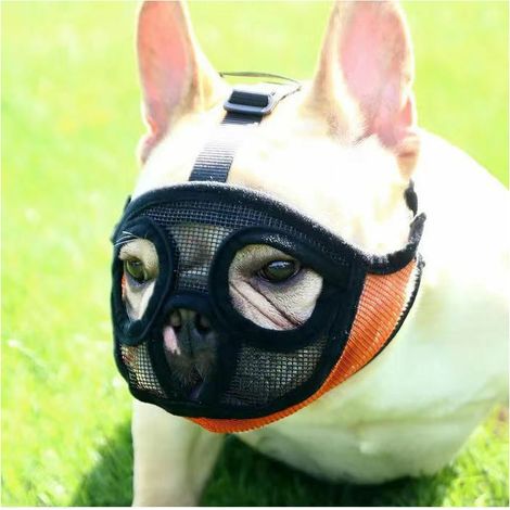 Court museau Chien Muzzle- Réglable Respirant en Maille Muselière Bulldog pour Piqûres d'Chewing aboiements Chien Masque.M, (1/5)