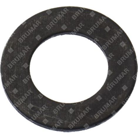 Rondella pompa olio per motoseghe PROGREEN - 054713