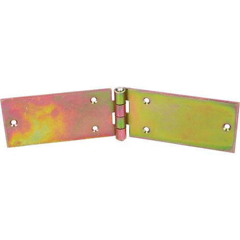 KOTARBAU Charnière de porte 200 x 50 mm à charnière en plaqué or (1/5)